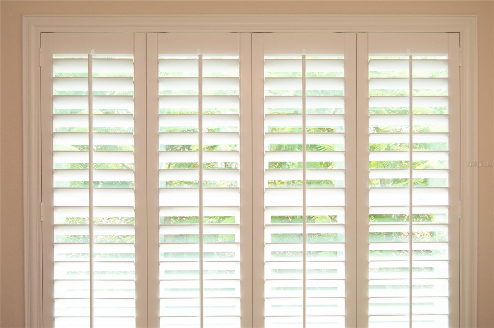 Plantation shutters throughout the entire home!