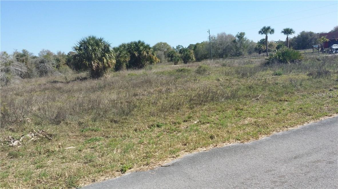 Okeechobee, Florida 34972, 0 , 0 ,0,Land,For Sale,HWY 441,0,O6123940