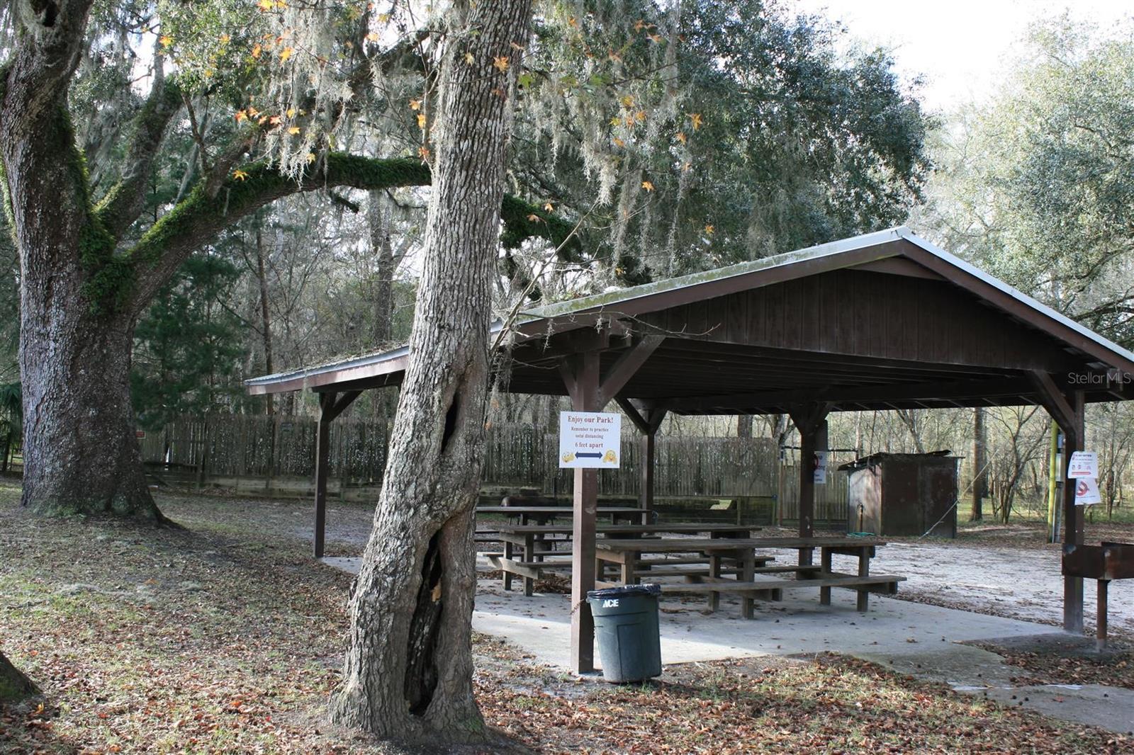 PICNIC AREA AT THE RIVER