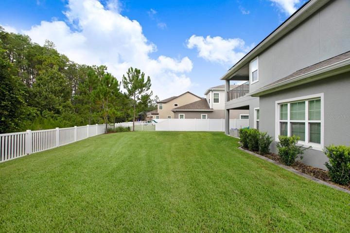 Spacious Backyard, fully fenced, on a 0.29 acre lot facing conservation