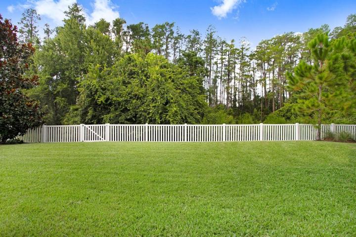 Spacious Backyard, fully fenced, on a 0.29 acre lot facing conservation