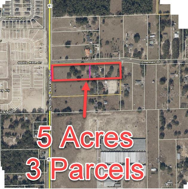 Apopka, Florida 32712, 0 , 0 ,0,Commercial Sale,For Sale,DOWMAN,0,O6124011
