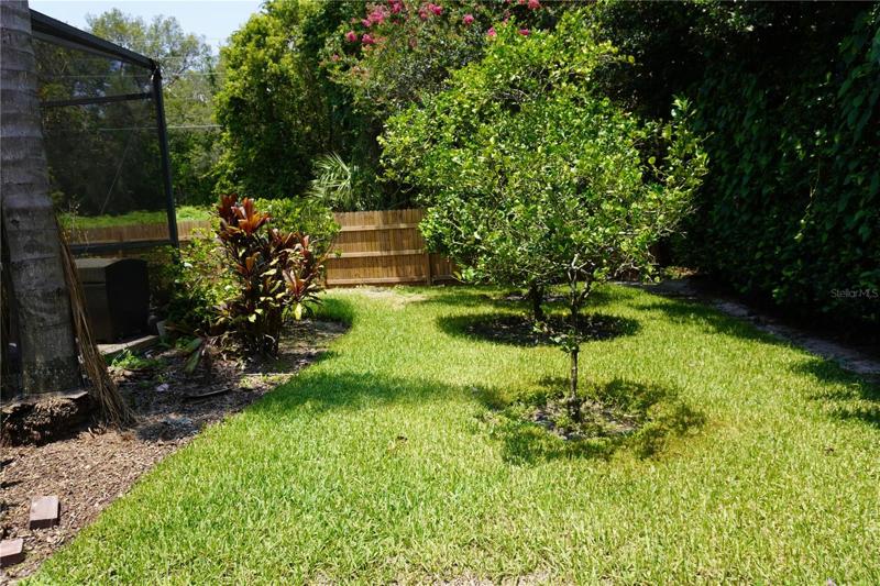 Fruit trees are bearing fruit...they should be ripe to welcome you home.