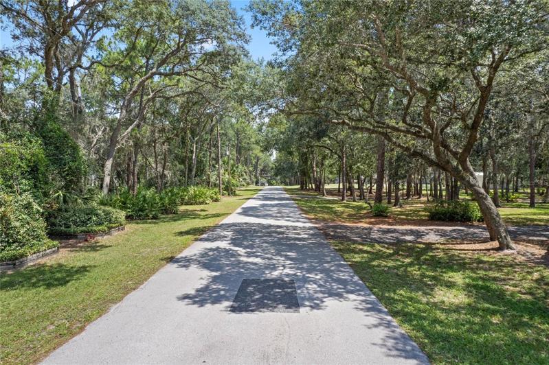 River Bluff Trail
