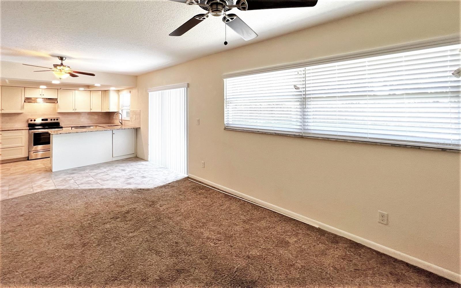 Living room / kitchen