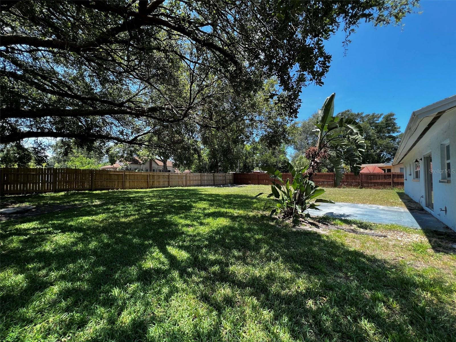 Large fenced-in back yard with a gorgeous oak tree for shade.