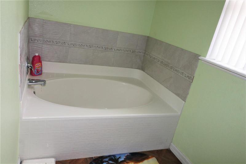 Master Tub