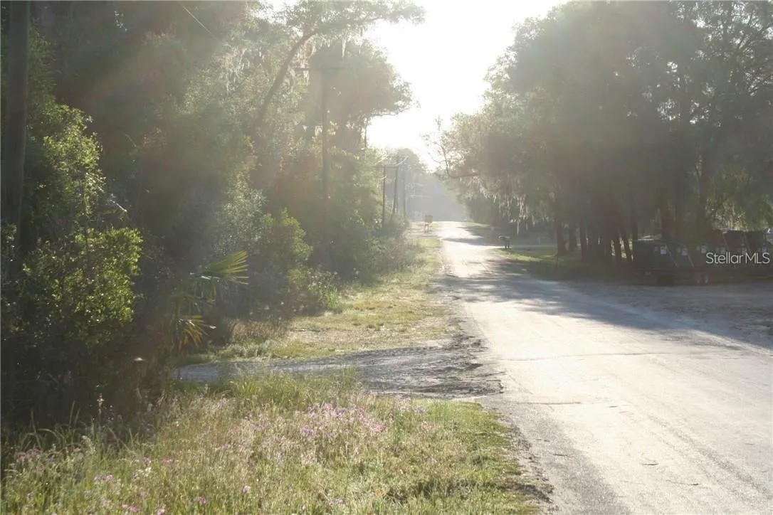 Ocala, Florida 34480, 0 , 0 ,0,Land,For Sale,95TH,0,OM660695