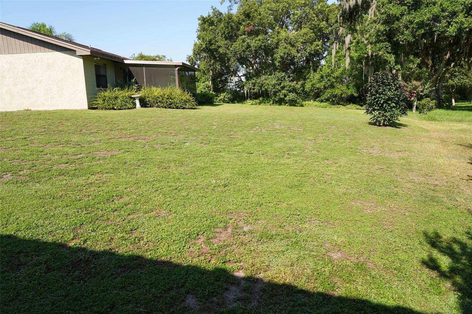 Backyard view from corner of property