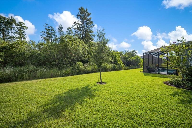 Huge backyard area
