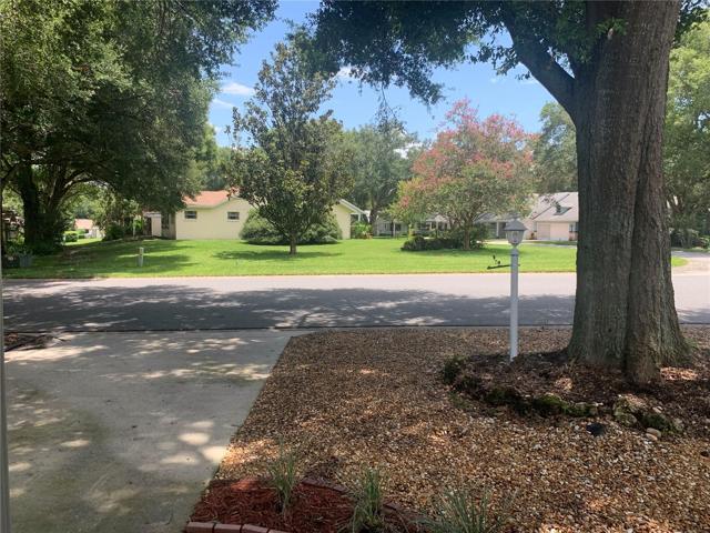 View from front porch