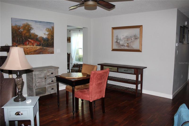 Entry from Foyer to Living Room