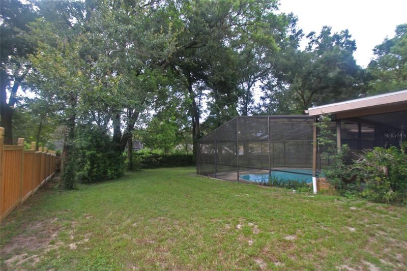 side backyard