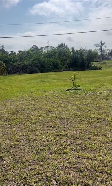 From the interior of the lot it is halfway cleared