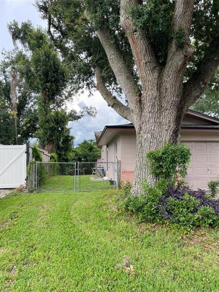 View from Road of Side Yard Access
