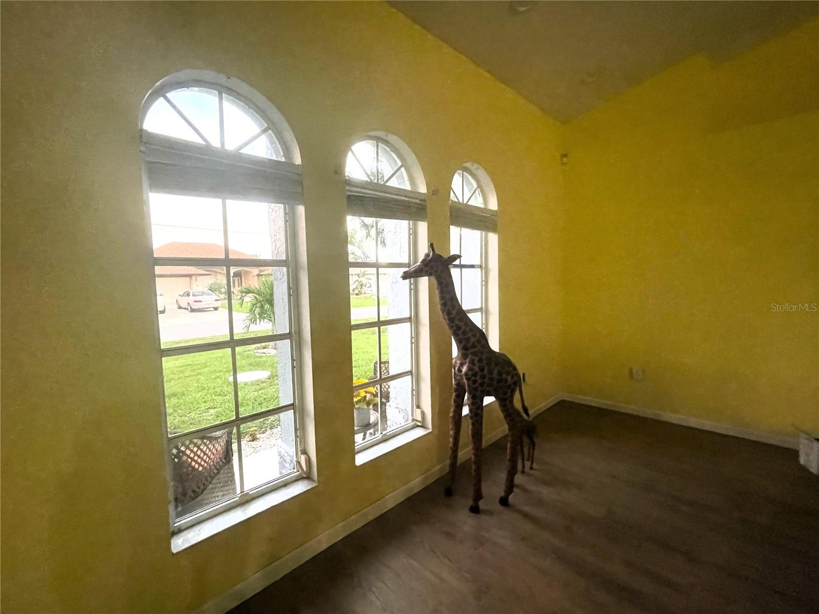 Front Windows