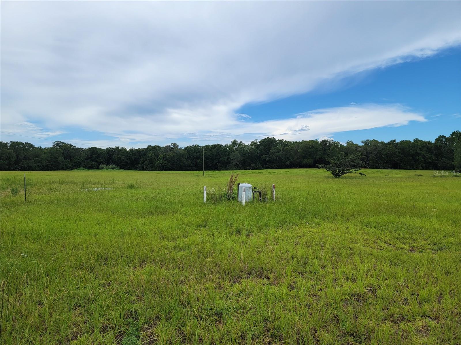 View of well # 1