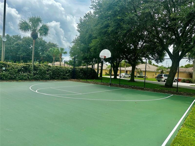 BASKETBALL COURT