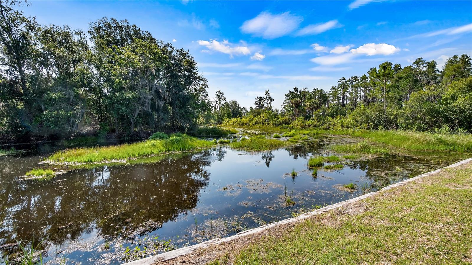 Backyard view to canal