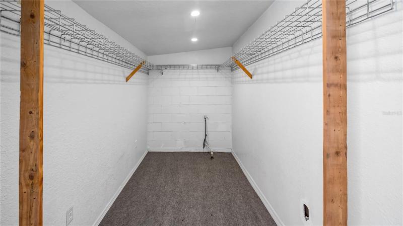 Walk in closet off of HUGE back bedroom/room