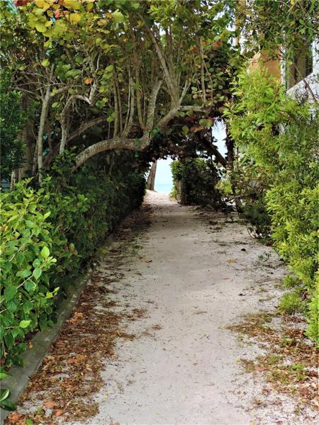 Beach Access