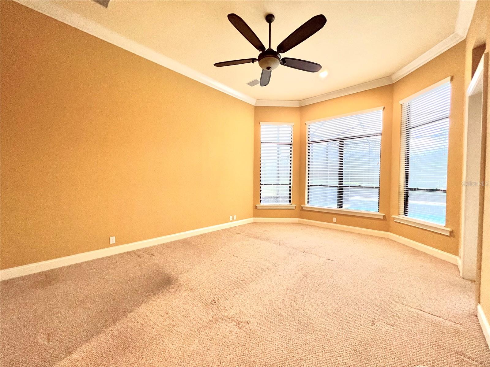 14 X 19 Master BR overlooking pool