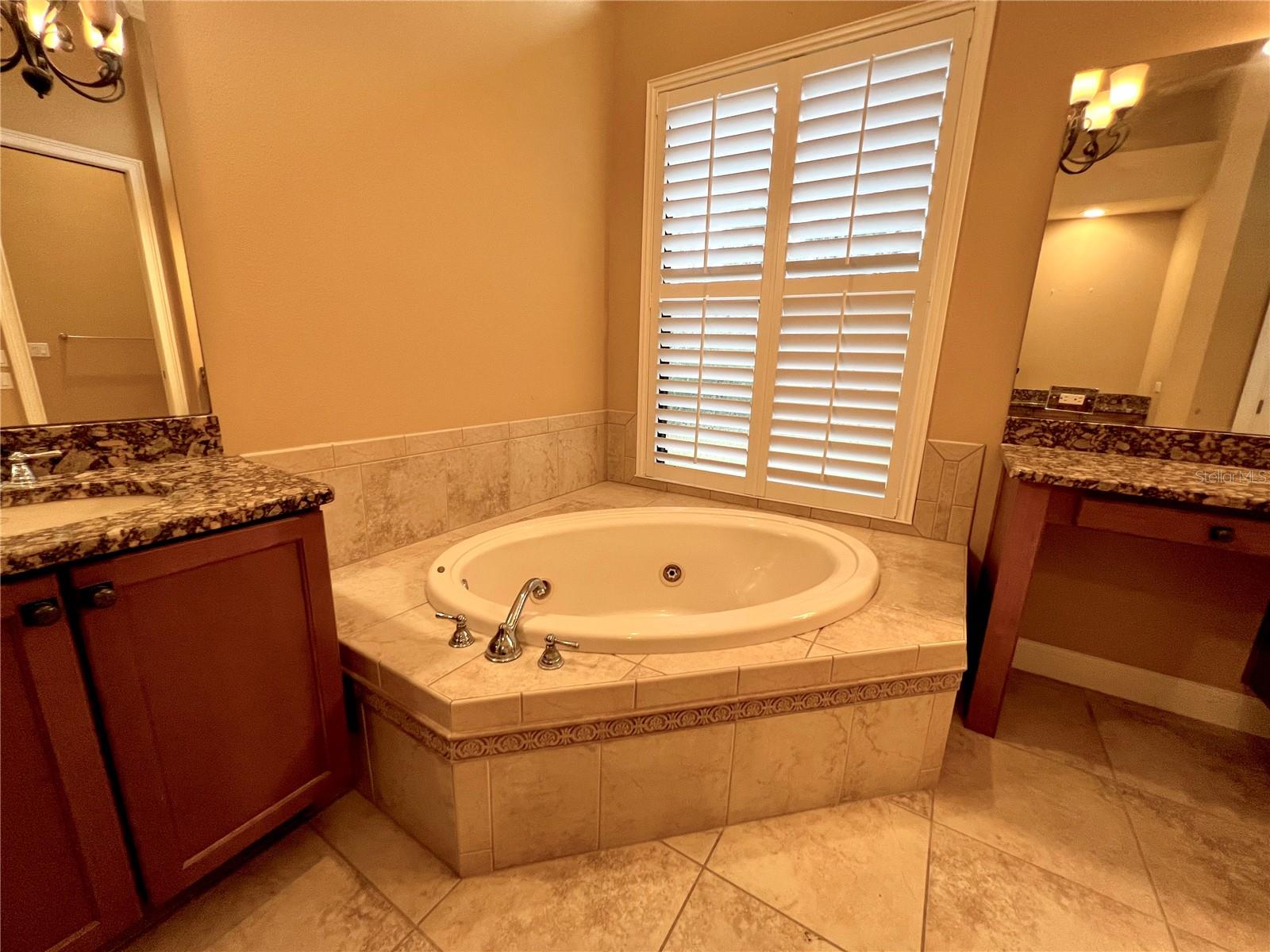 Master bathroom w/ Jacuzzi tub