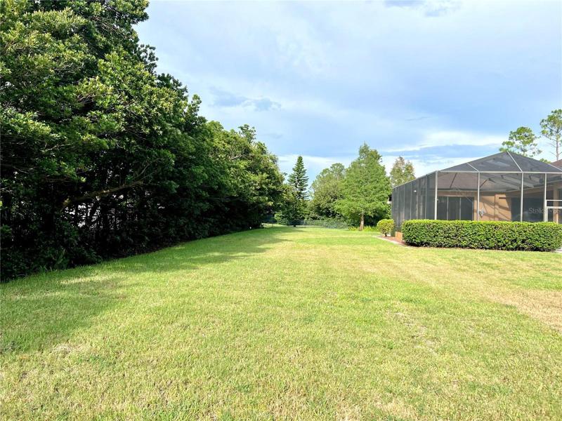Large fenced back yard