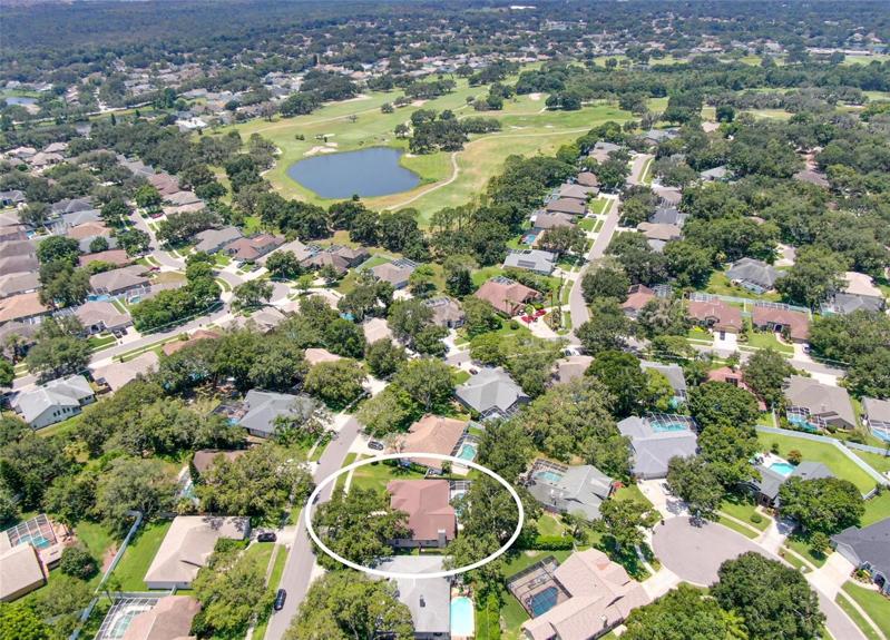 Aerial view