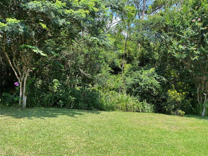 Backyard