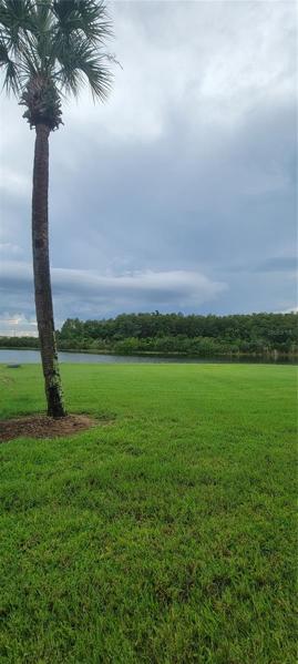 Water view and Conservation View From Patio