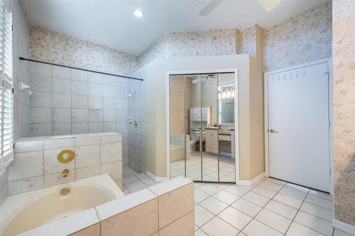 Master Bathroom Tub & Shower