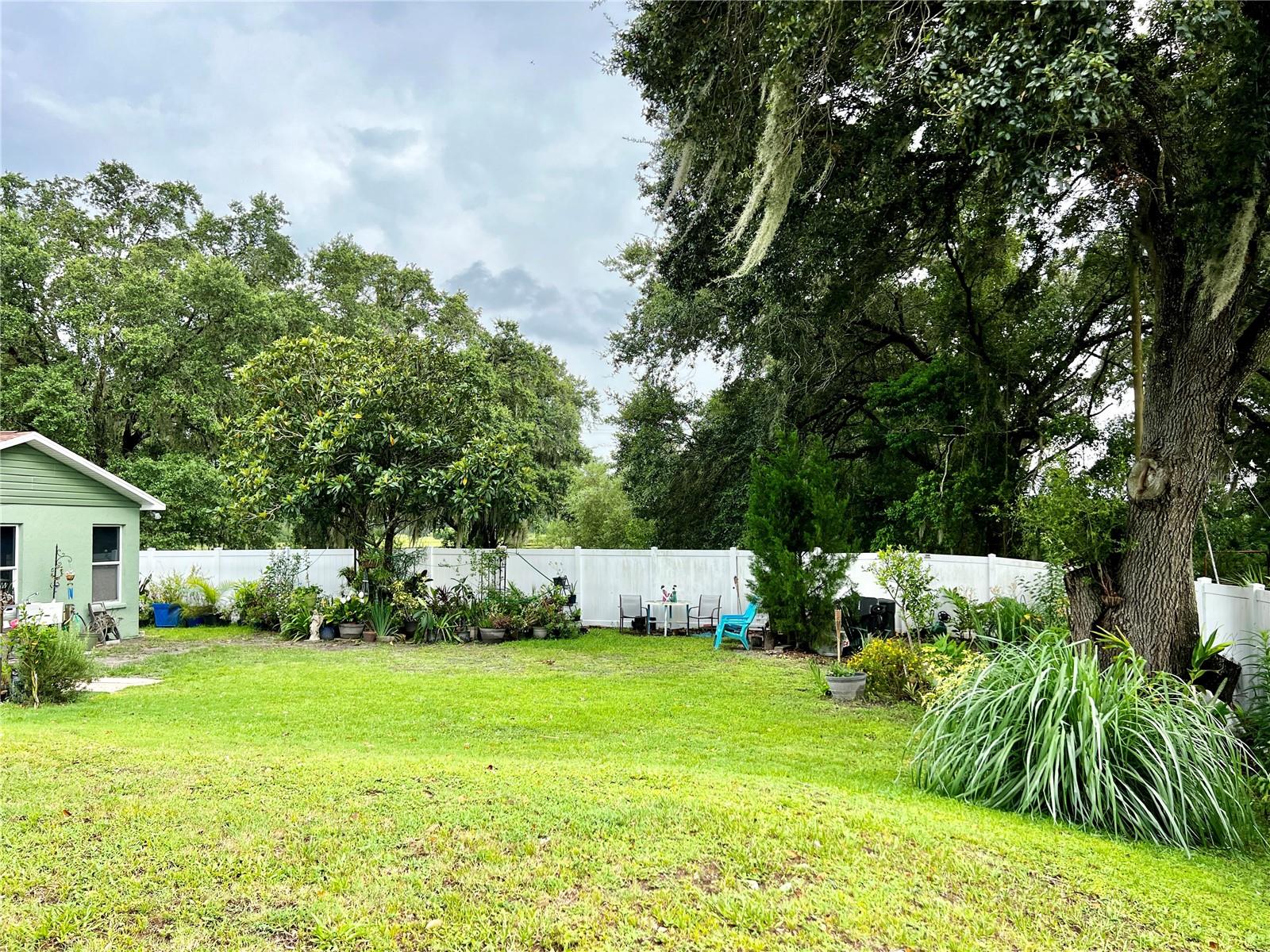 Backyard