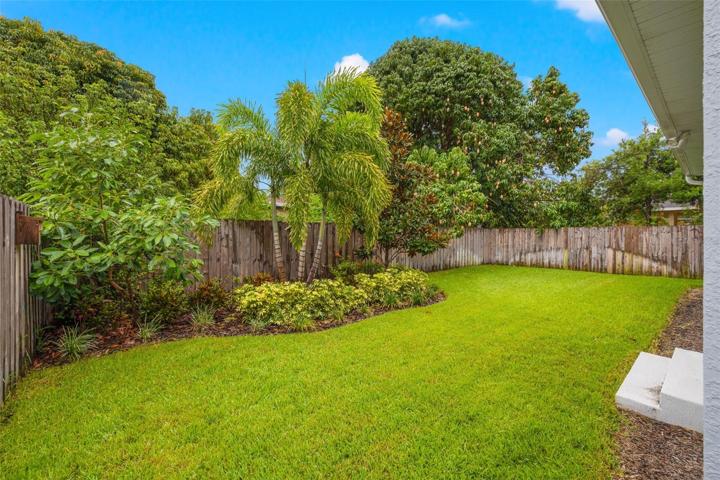 Back yard