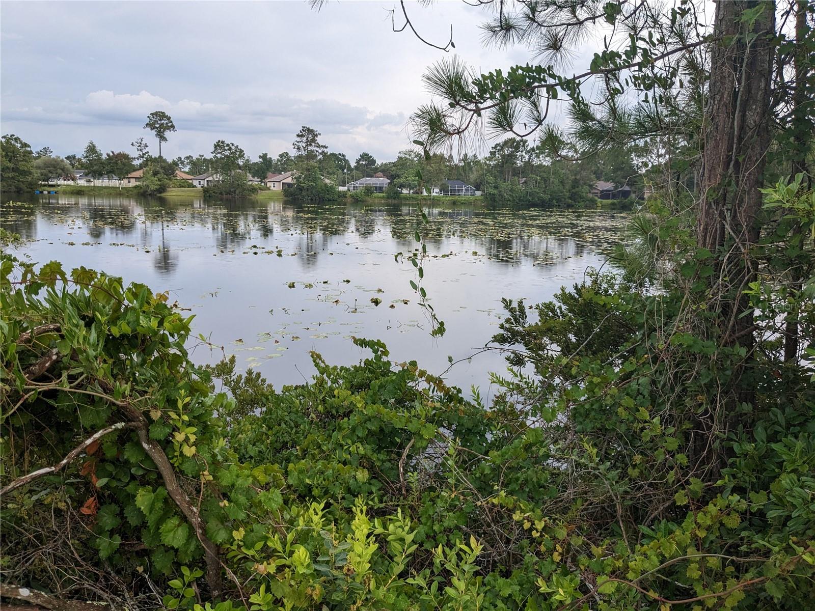 WATER VIEW