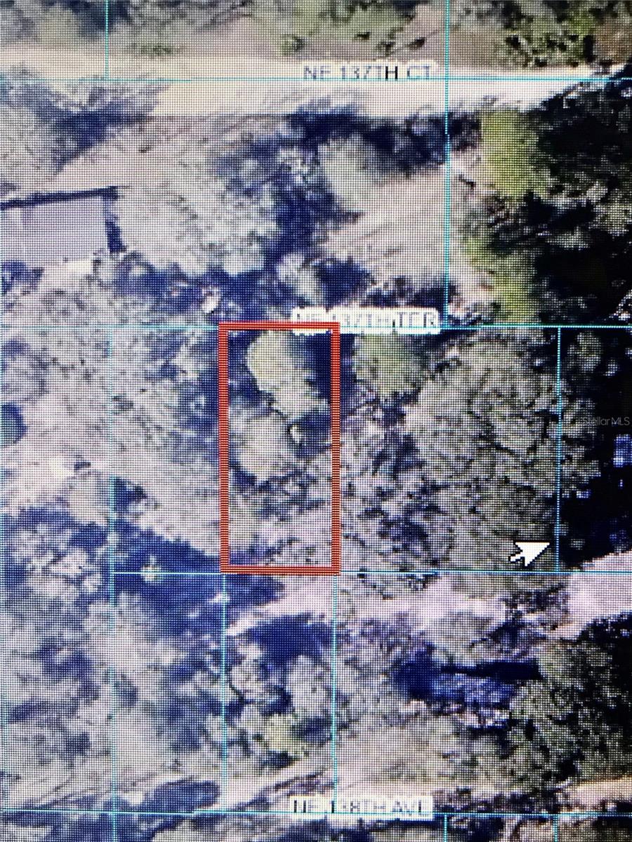 Fort Mc Coy, Florida 32134, 0 , 0 ,0,Land,For Sale,137TH,0,U8206538