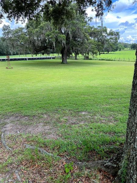 back yard