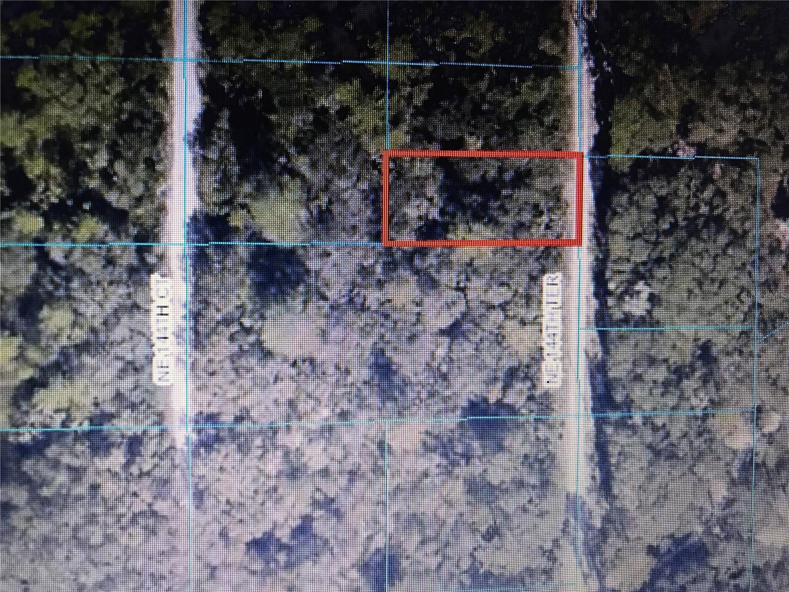 Fort Mc Coy, Florida 32134, 0 , 0 ,0,Land,For Sale,144TH,0,U8206547