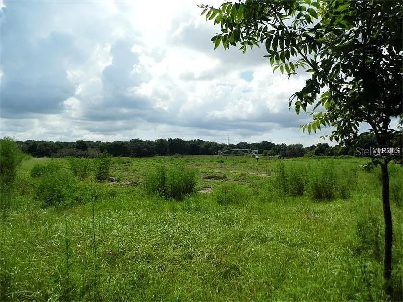 Thonotosassa, Florida 33592, 0 , 0 ,0,Land,For Sale,TIMMONS,0,T3457837
