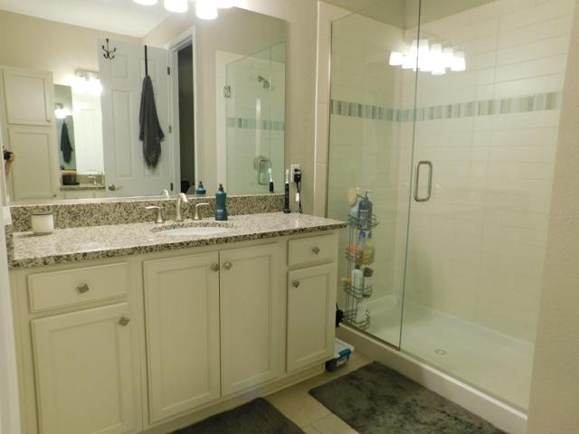 Tiled shower, granite counters