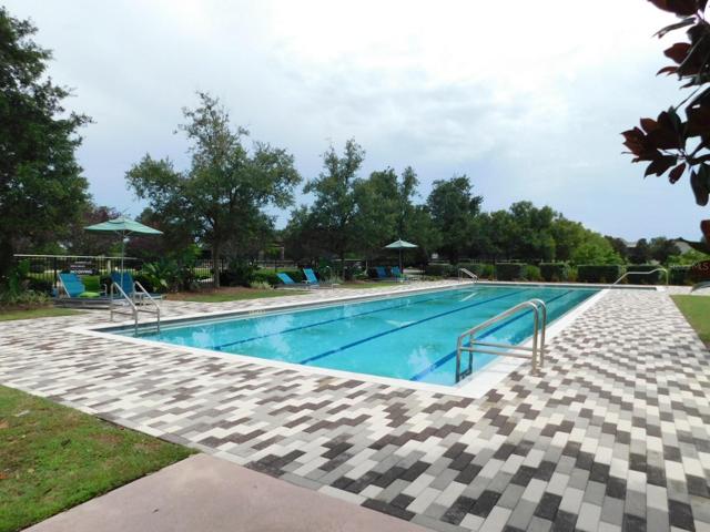 Swim laps!