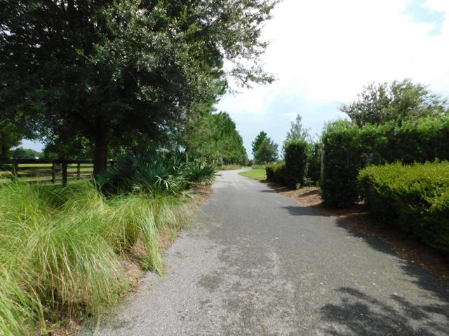 Walking/Biking trails throughout