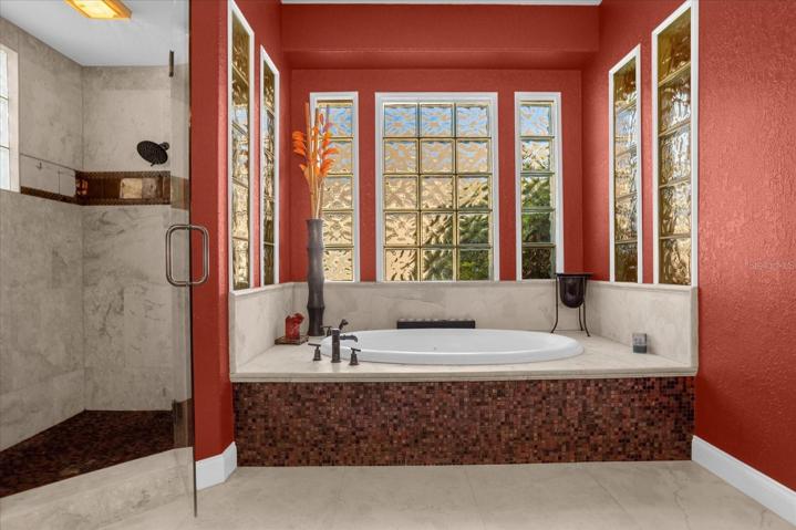 Owner's bathroom