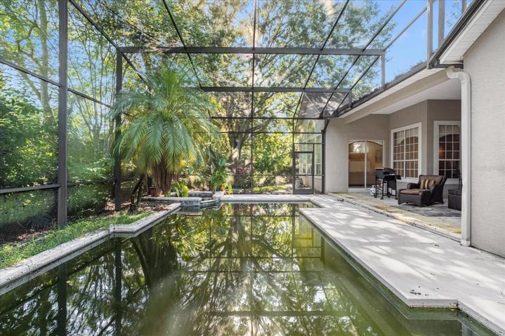Pool, sliding glass doors lead to family room