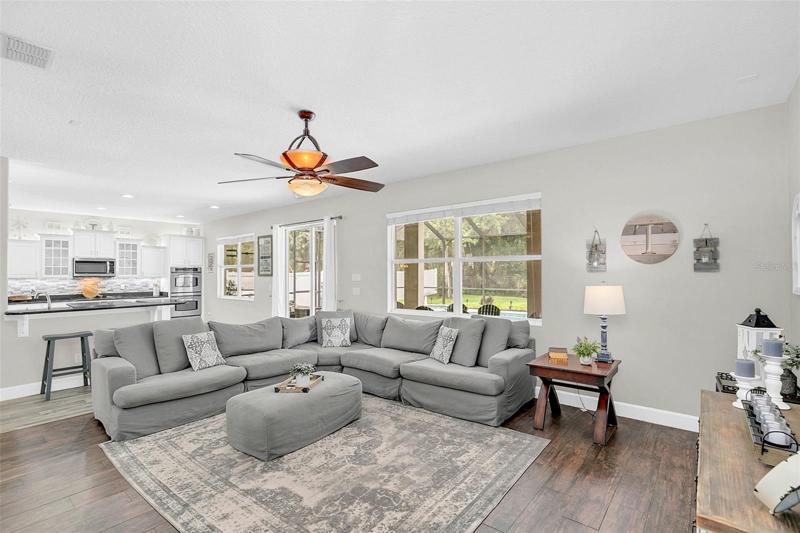 Family Room/Kitchen combo