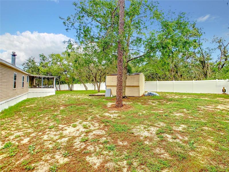 Backyard
