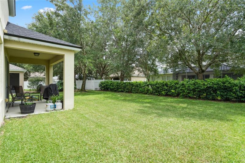 Mature landscaping in the backyard
