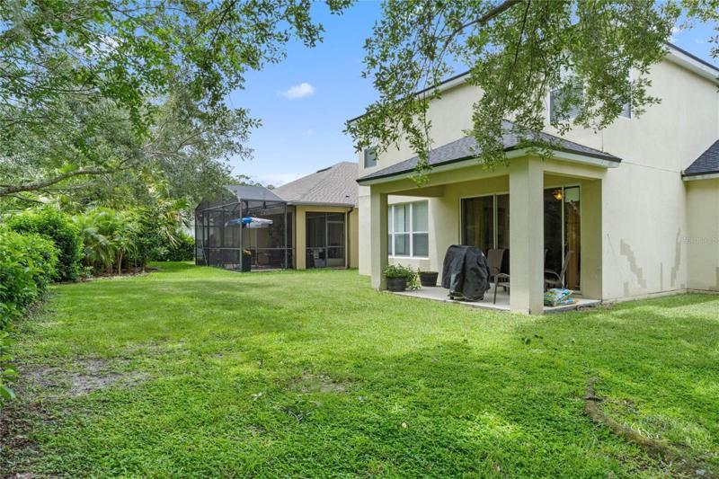 Mature landscaping in the backyard