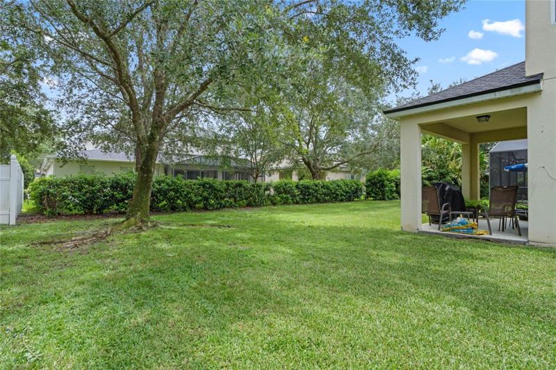 Mature landscaping in the backyard