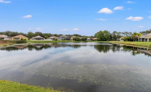 Lake view from backyard